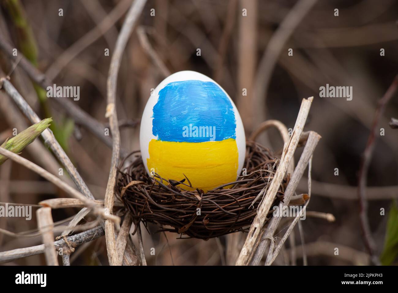 Ein weißes Hühnereier mit einer gelb-blauen Flagge der Ukraine in einem Strohkorb in der Ukraine auf Baumzweigen, Osterferien in der Ukraine während der W Stockfoto
