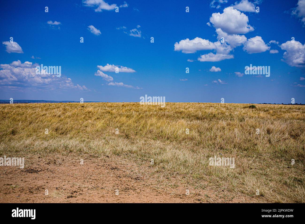 Maasai Mara National Game Reserve Park Narok County Kenia Ostafrikanische Landschaften Panoramablick Auf Savannah Grasland Great Rift Valley Stockfoto