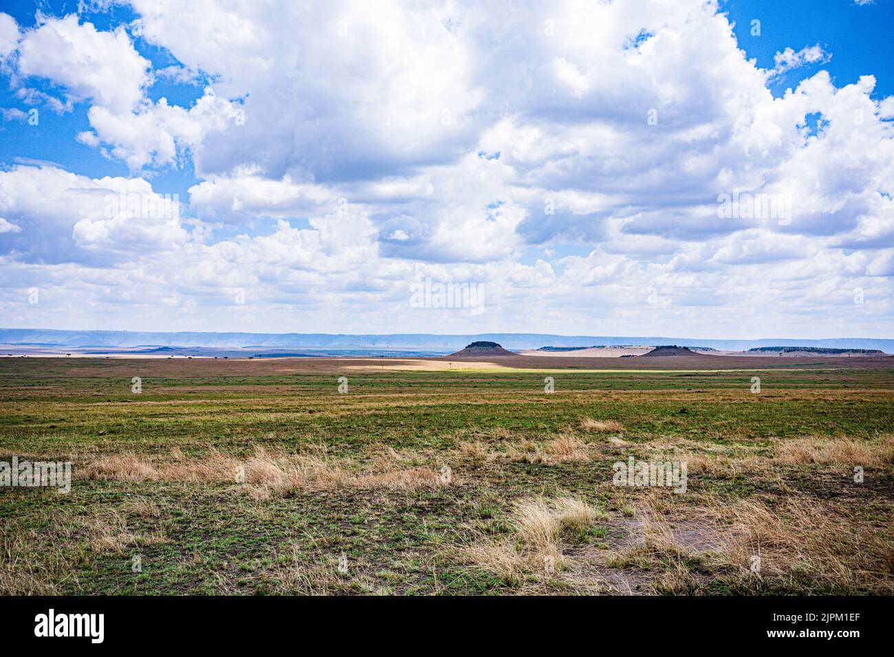 Maasai Mara National Game Reserve Park Narok County Kenia Ostafrikanische Landschaften Panoramablick Auf Savannah Grasland Great Rift Valley Stockfoto