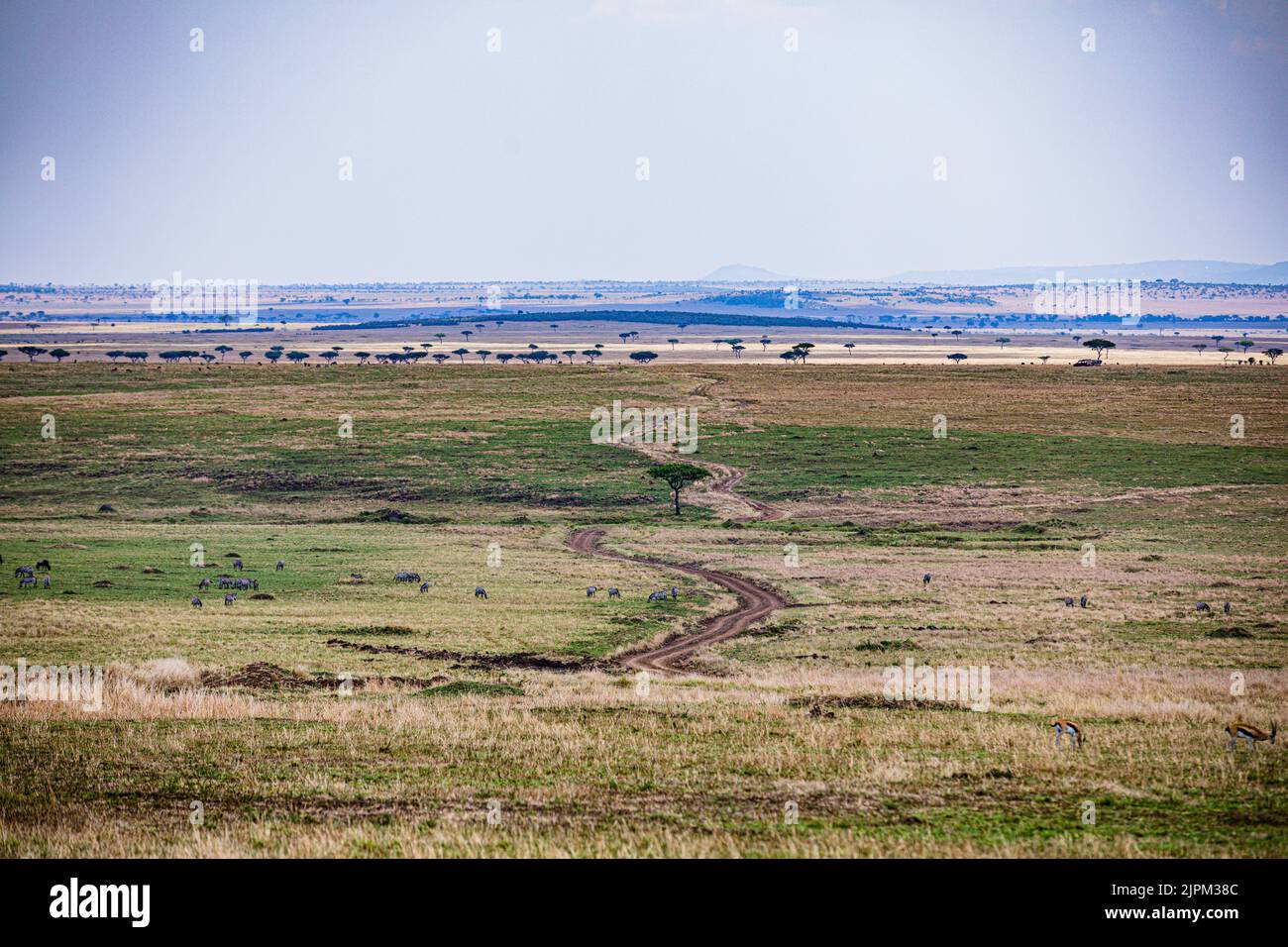 Maasai Mara National Game Reserve Park Narok County Kenia Ostafrikanische Landschaften Panoramablick Auf Savannah Grasland Great Rift Valley Stockfoto