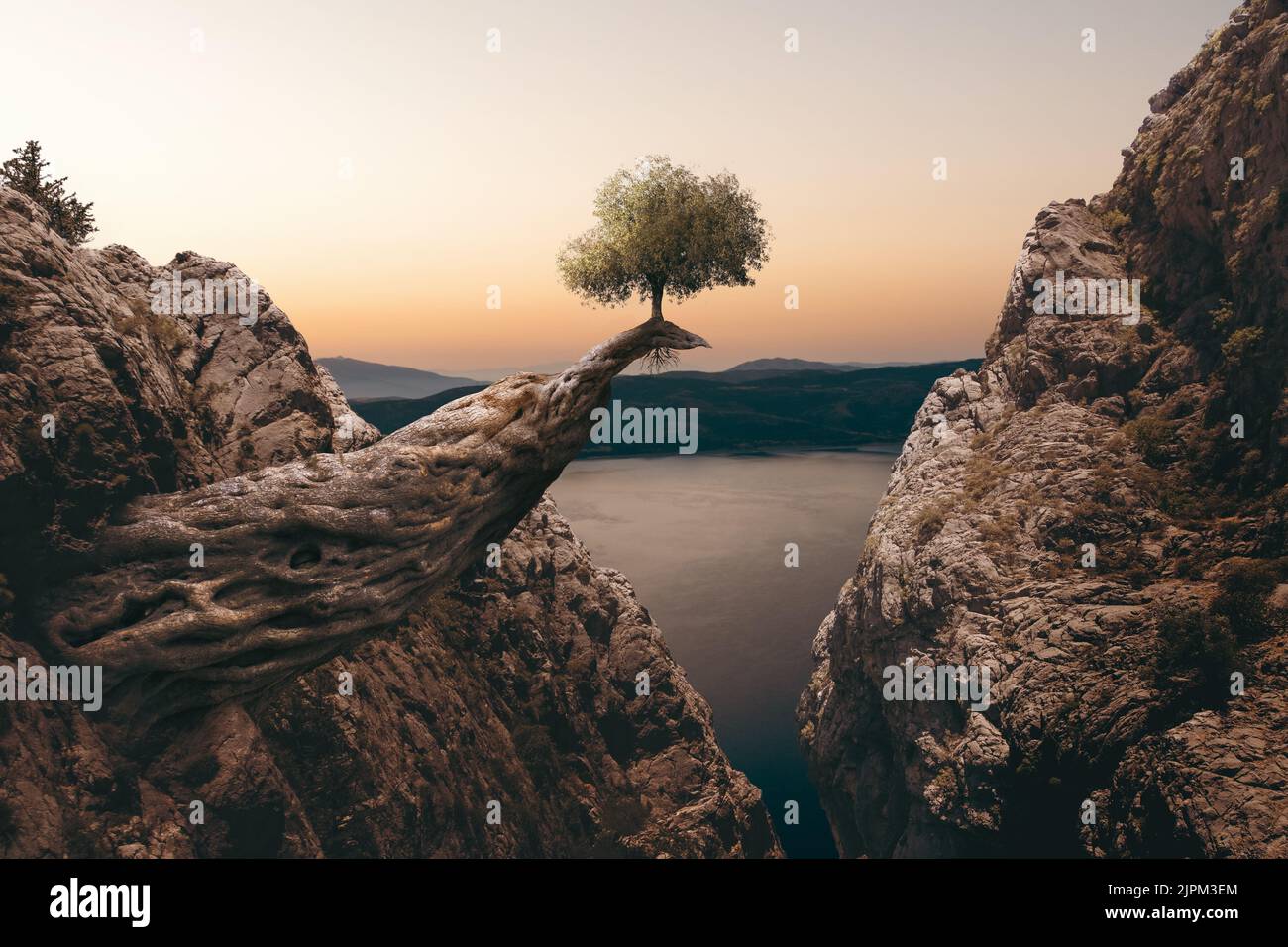 Ein kleiner Baum wächst auf einem riesigen Baumstamm zwischen den Bergen. Unrealistische Fantasie und Wunder des Naturbegriffs. Stockfoto