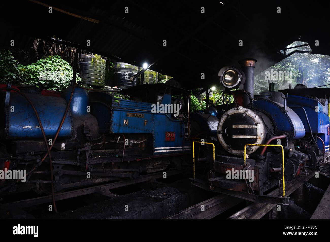 Die Darjeeling Himalayan Railway, ein UNESCO-Weltkulturerbe, auch bekannt als DHR oder Toy Train, ist eine 610-mm-Eisenbahnstrecke, die zwischen New Jalpaiguri und Darjeeling im indischen Bundesstaat Westbengalen verkehrt. Er klettert von etwa 100 m über dem Meeresspiegel bei New Jalpaiguri auf etwa 2.200 m (7.200 ft) bei Darjeeling, wobei er sechs Zickzack und fünf Schleifen verwendet, um Höhe zu gewinnen. Sechs Diesellokomotiven übernehmen den größten Teil des Liniendienstes, darunter tägliche Touristenzüge von Darjeeling nach Ghum – Indiens höchster Bahnhof – und der dampfgetrabene Red Panda-Dienst von Darjeeling nach Kurseong. Stockfoto