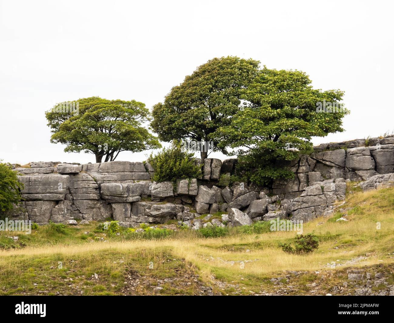 Kalksteinpflaster auf Farleton Fell, Cumbria, Großbritannien. Stockfoto