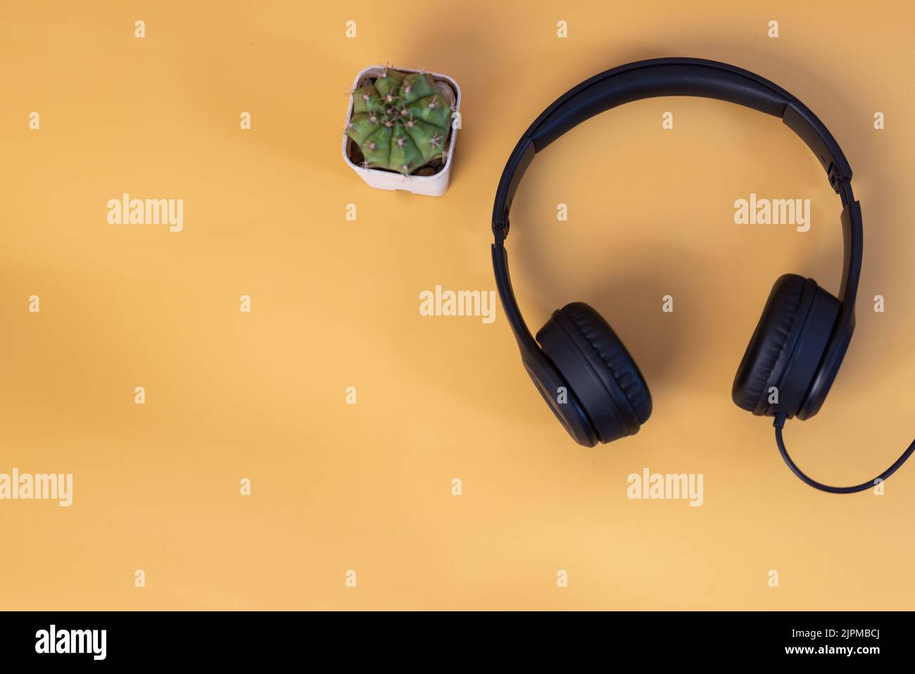 Kopfhörer und Kaktus auf gelbem Hintergrund kopieren Platz. Stockfoto