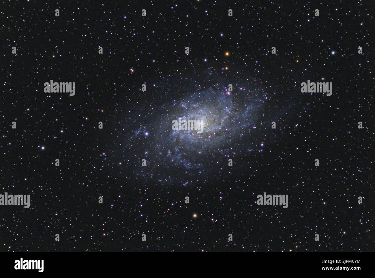 Die Triangulum-Galaxie M33 im Sternbild Triangulum mit Nebel, offenem Sternhaufen, Kugelsternhaufen und Sternen, aus der Toskana, Italien mit einer RE Stockfoto