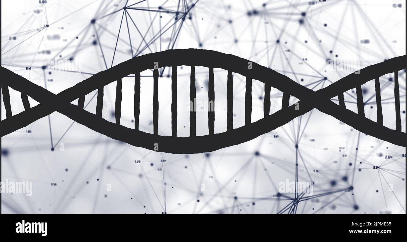 Bild des dna-Strangs auf weißem Hintergrund Stockfoto