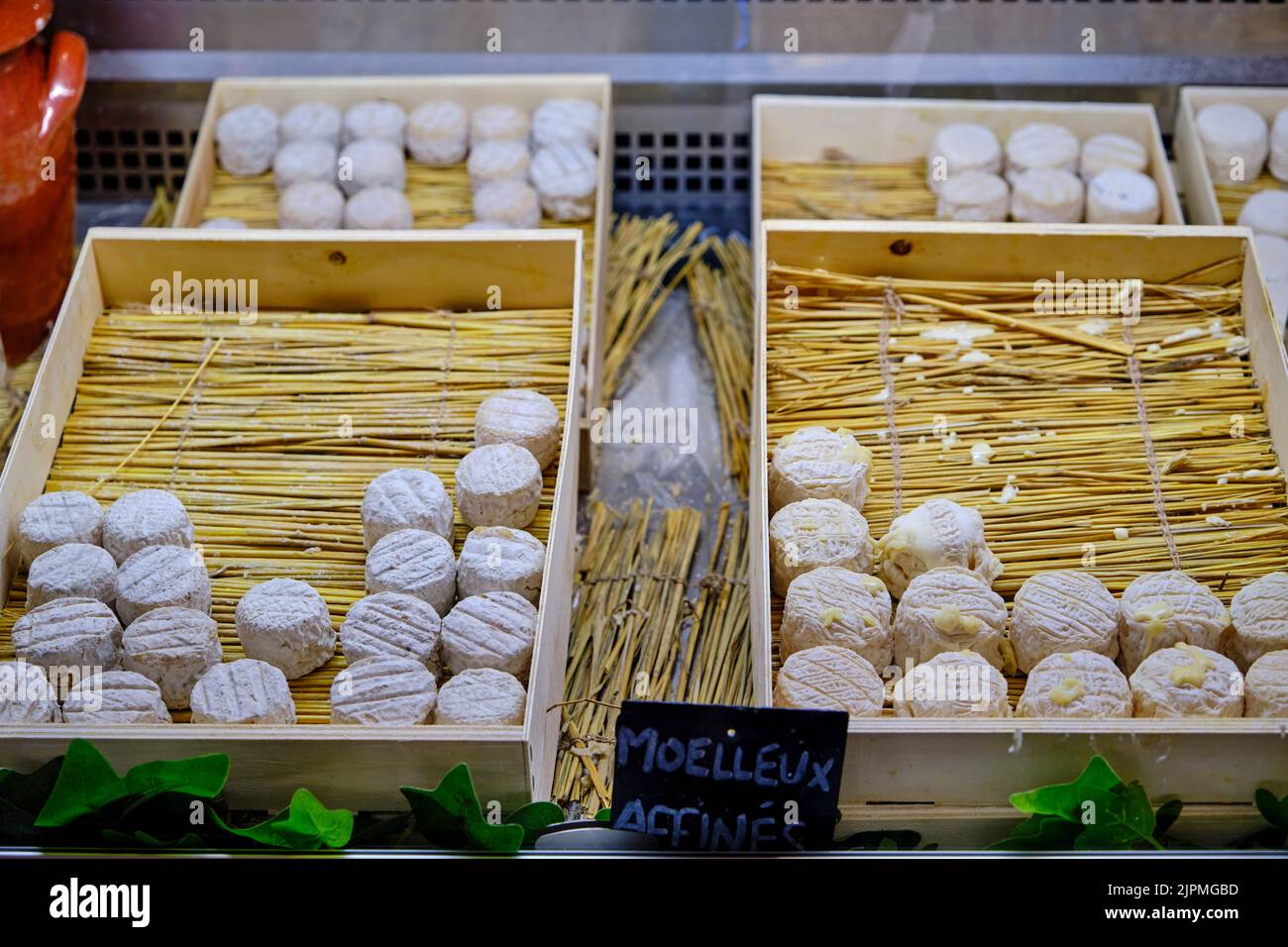 Frankreich, Cher (18), Thauvenay, La Bête Noire Sancerroise, Ziegenfarm für Crottins de Chavignol AOC Stockfoto