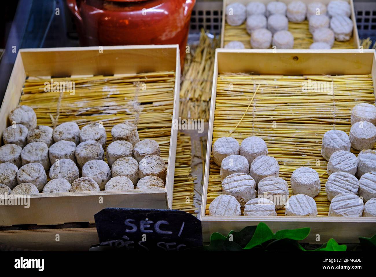 Frankreich, Cher (18), Thauvenay, La Bête Noire Sancerroise, Ziegenfarm für Crottins de Chavignol AOC Stockfoto