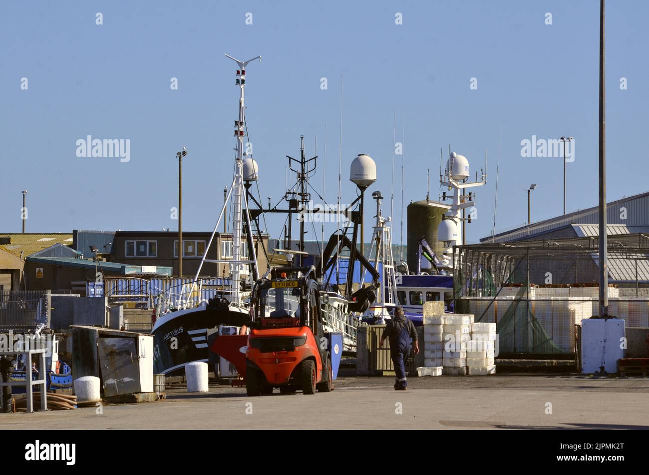 Hafenszene im großen Fischereihafen von Peterhead in Aberdeenshire, Schottland, Großbritannien Stockfoto