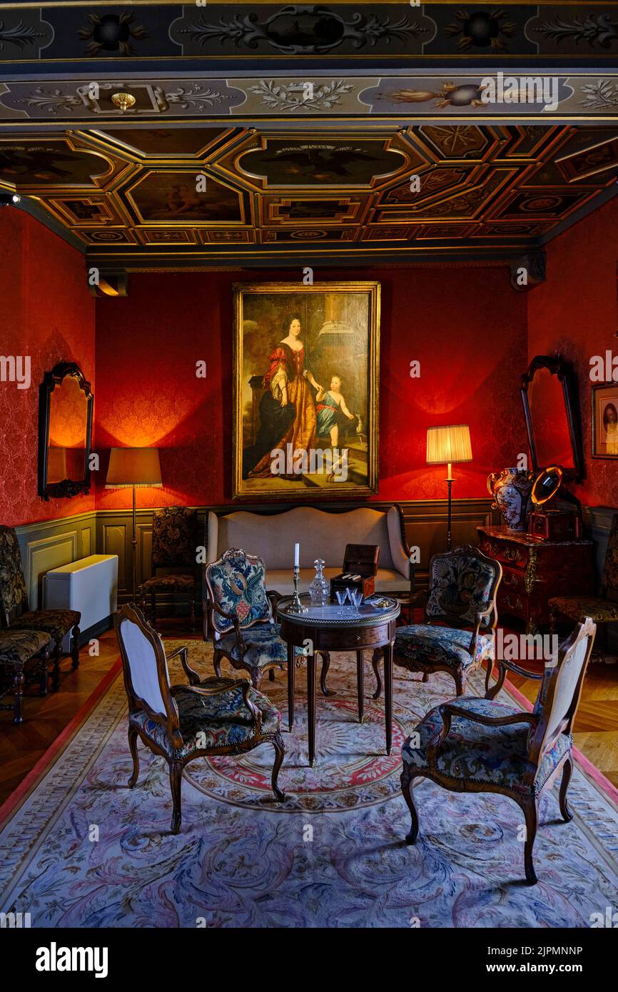 Frankreich, Loiret (45), Loire-Tal von der UNESCO zum Weltkulturerbe erklärt, Sully-sur-Loire, Château de Sully-sur-Loire, 14.-18. Jahrhunderte, der große salo Stockfoto