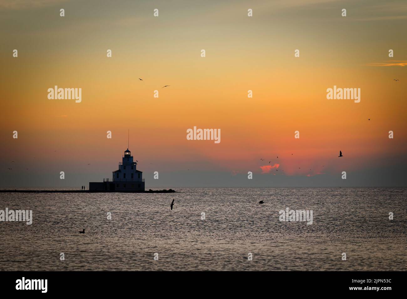Möwen ernähren sich in der Nähe des Leuchtturms, während die Sonne am Lake Michigan in Manitowoc, Wisconsin, aufgeht. Stockfoto