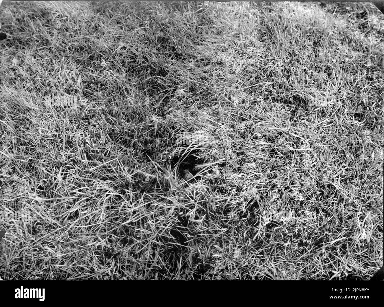 Live by year 26/5-1922 Bo AV årta 26/5-1922 Stockfoto