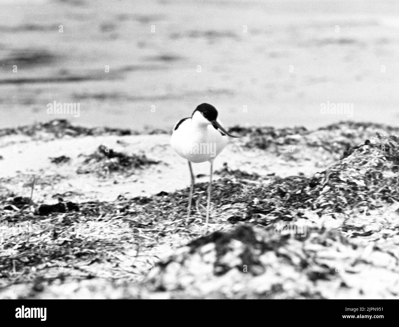 Schneidepunkt SkärFläcka Stockfoto