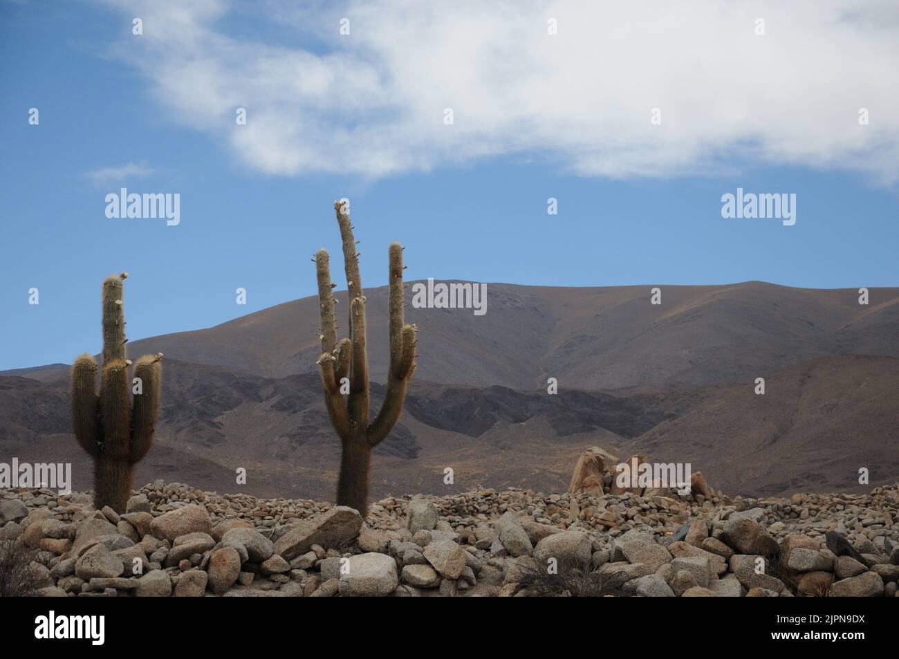 Landschaft Argentiniens Stockfoto