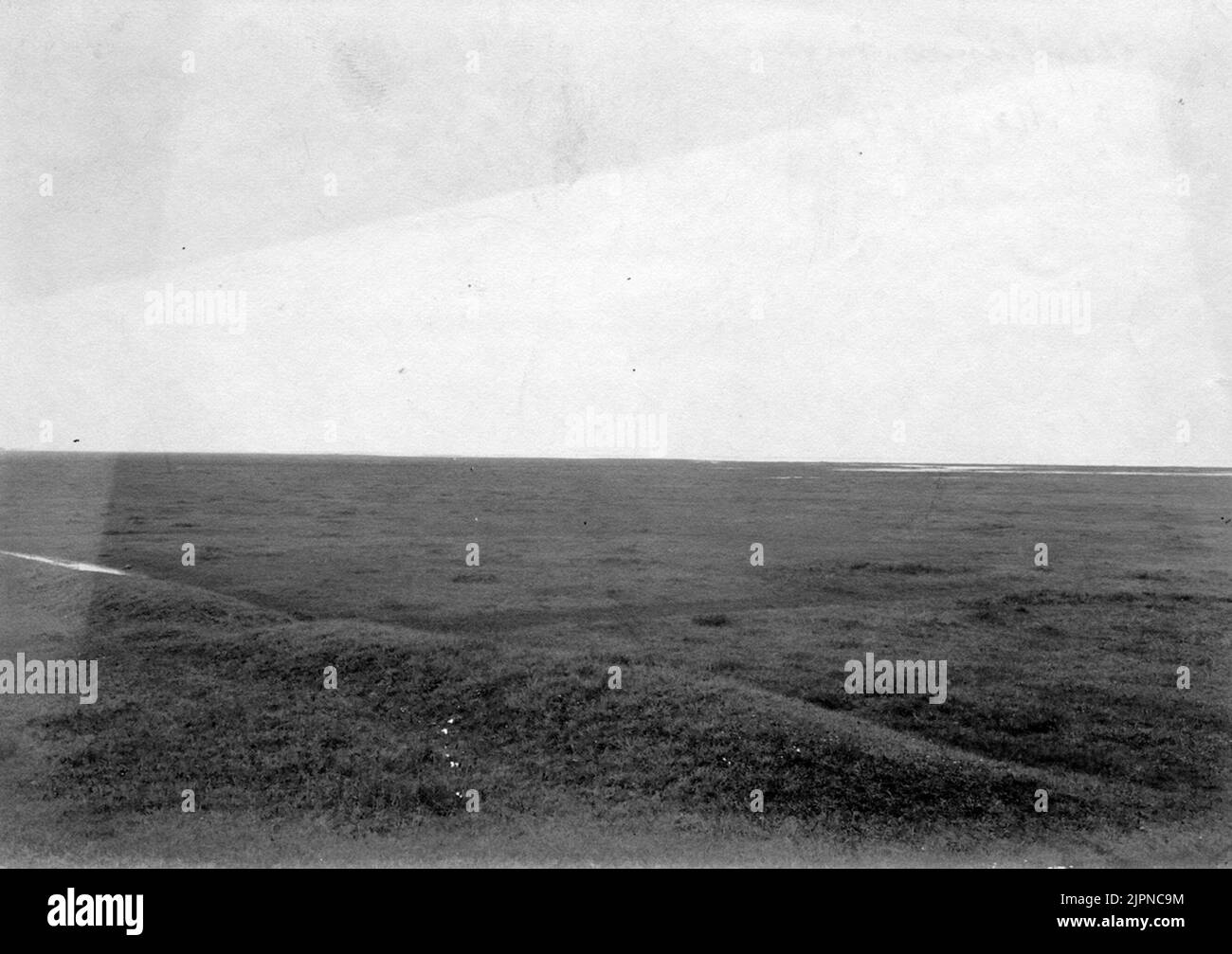 Beschwerden Betten, südlich von Malmö. 9.Mai 1904. Klaghamnsängar, söder om Malmö. 9. Mai 1904. Stockfoto