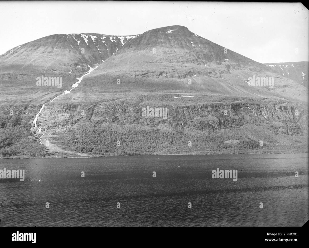 Biotop für Königsadler? Biotop för kungsörn ? Stockfoto