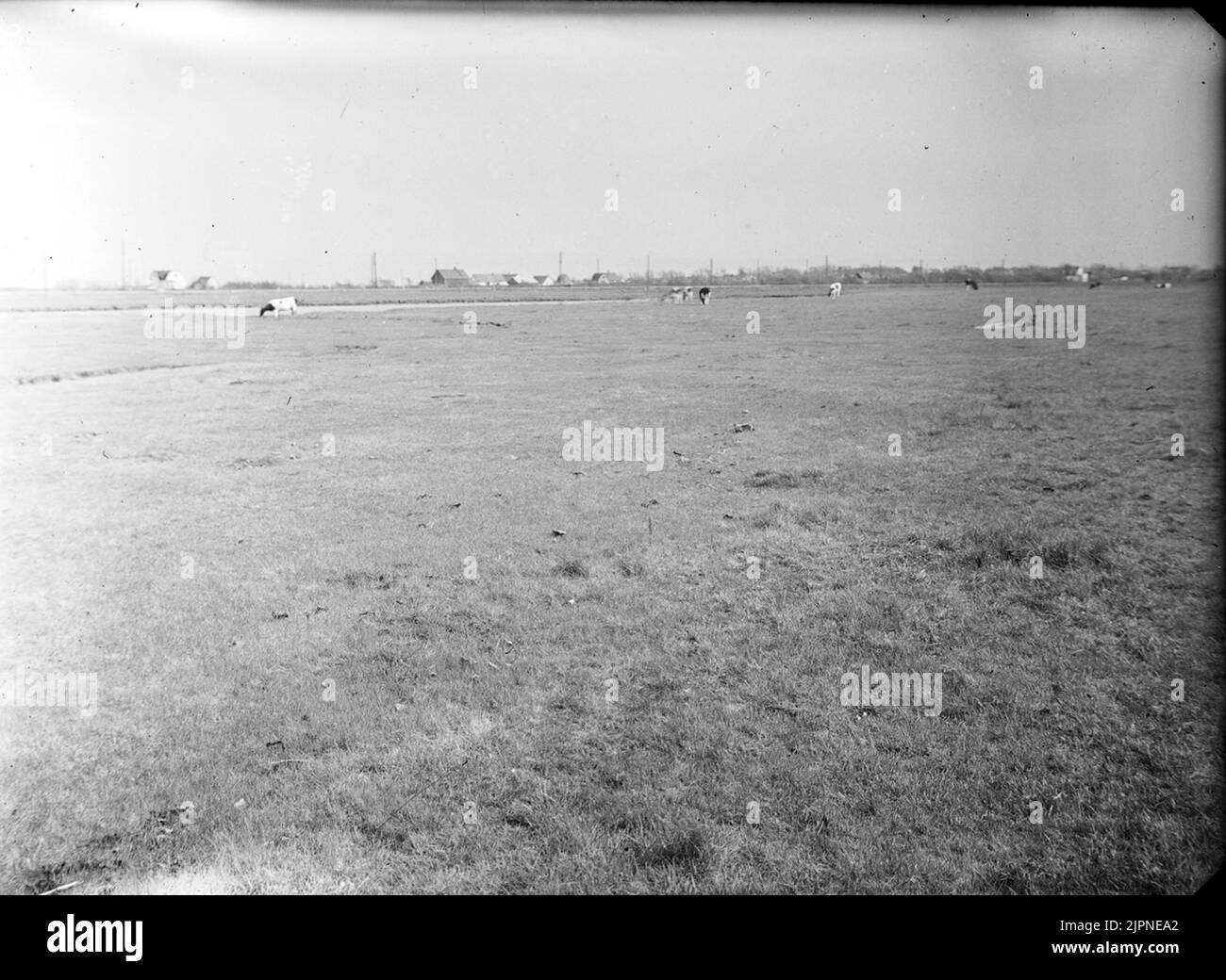 Biotop für Brushane? Biotop för brushane ? Stockfoto