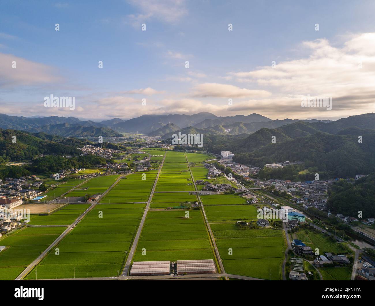 Luftaufnahme der grünen Reisfelder und der schönen kleinen Stadt am Sommermorgen Stockfoto