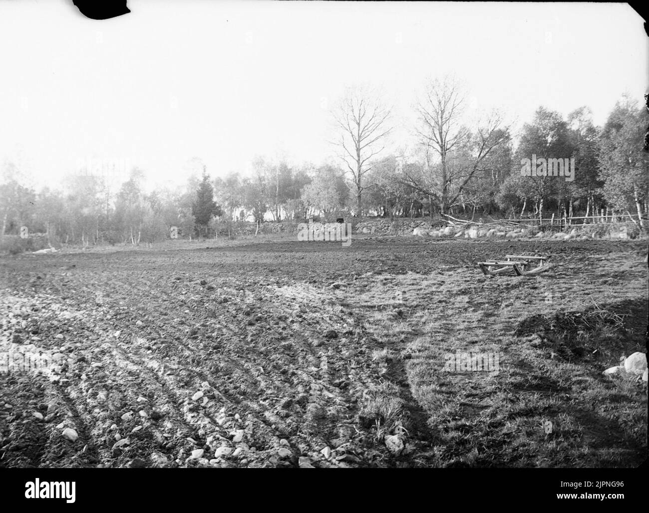 Biotop für Härfågel Biotop för härfågel Stockfoto
