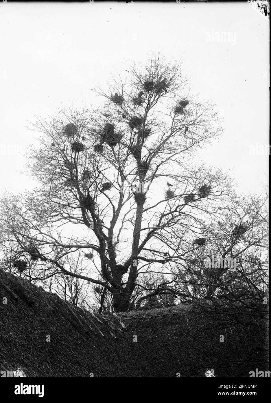 Passieren Råka Stockfoto