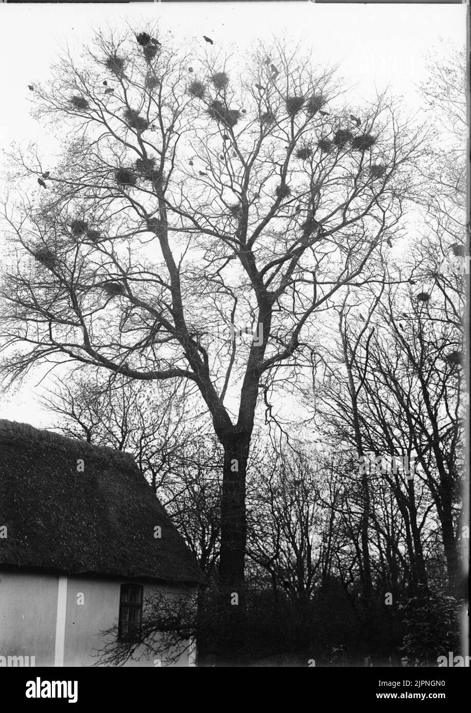 Passieren Råka Stockfoto
