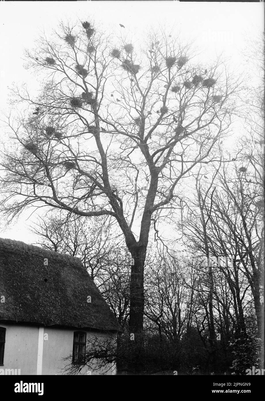 Passieren Råka Stockfoto
