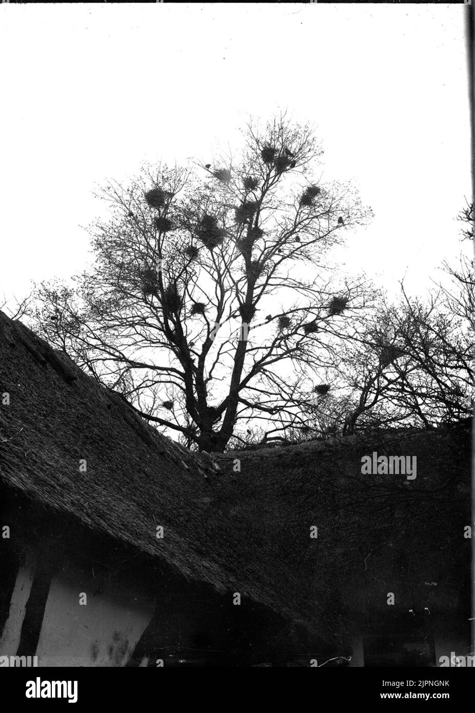 Passieren Råka Stockfoto