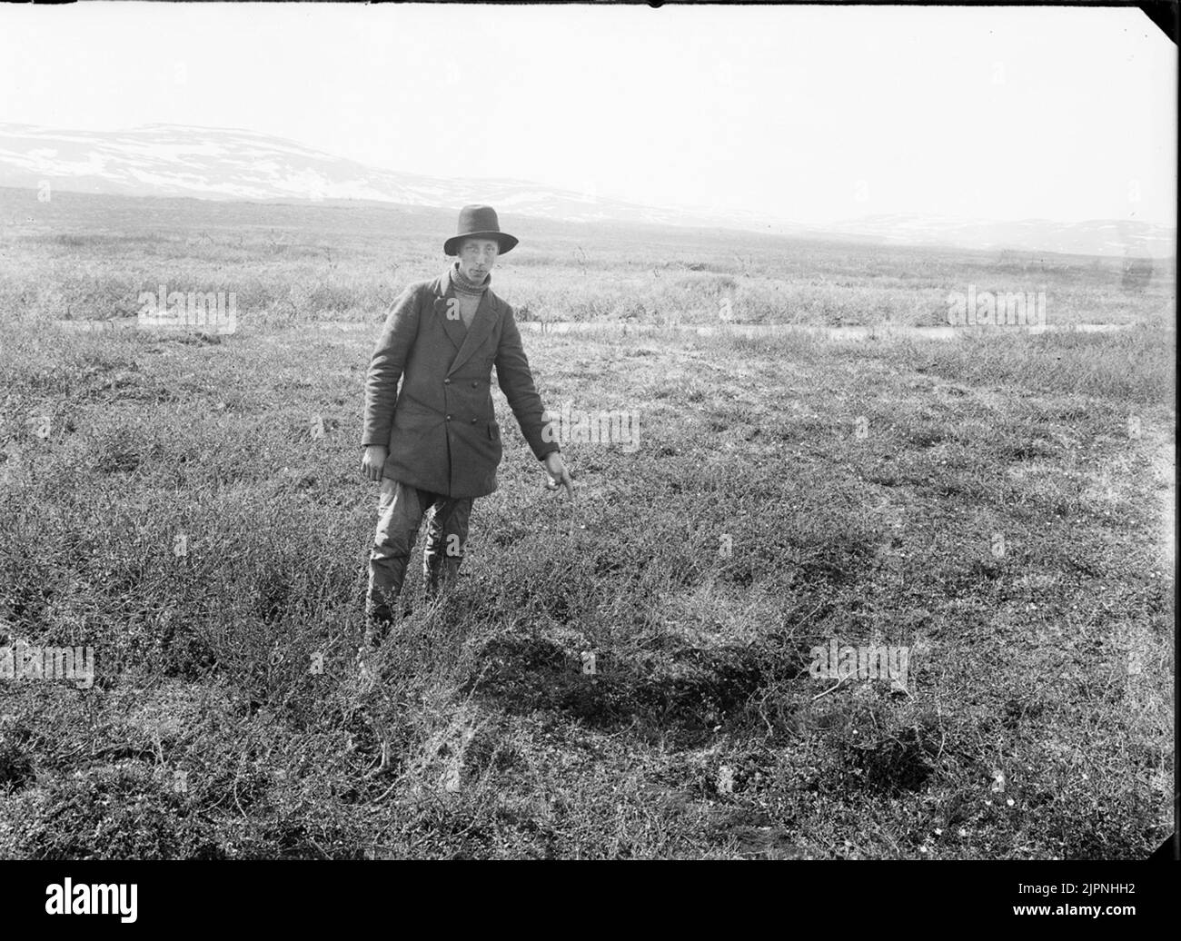Rote kehlige Schale Rödstrupig piplärka Stockfoto