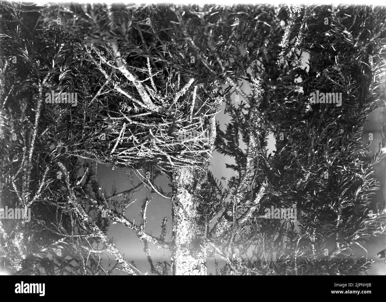 Aufenthalt von Sidevans Bo AV Sidevans Stockfoto