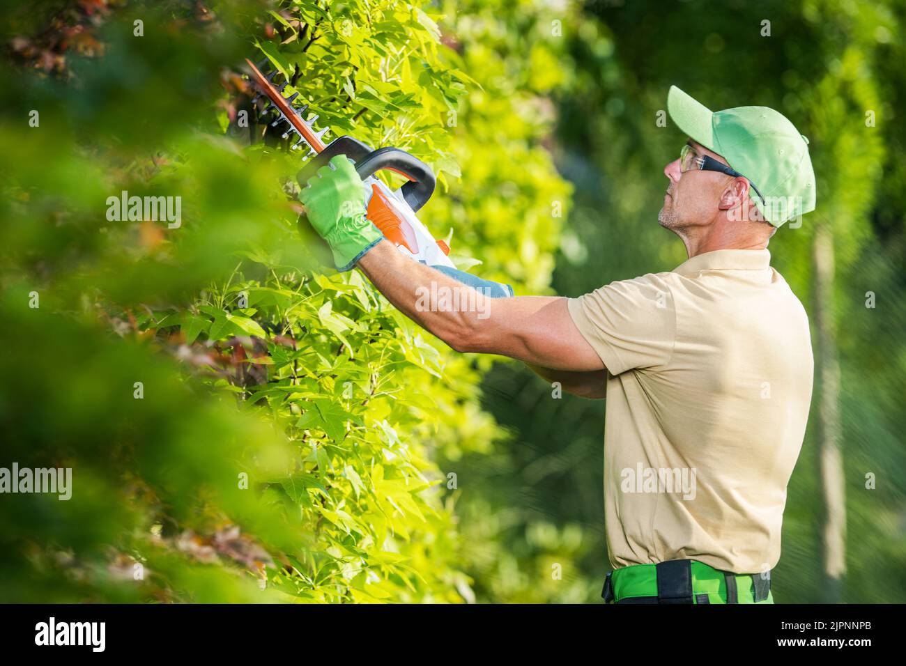 Professioneller baumschneider Fotos und Bildmaterial in hoher