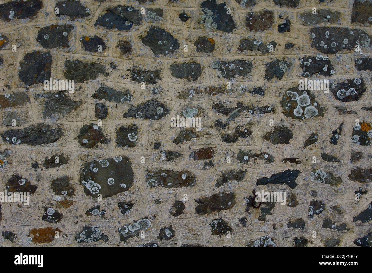 Steinmauer des Bauernhofes in der Normandie, Frankreich fotografiert im April 2012 Stockfoto