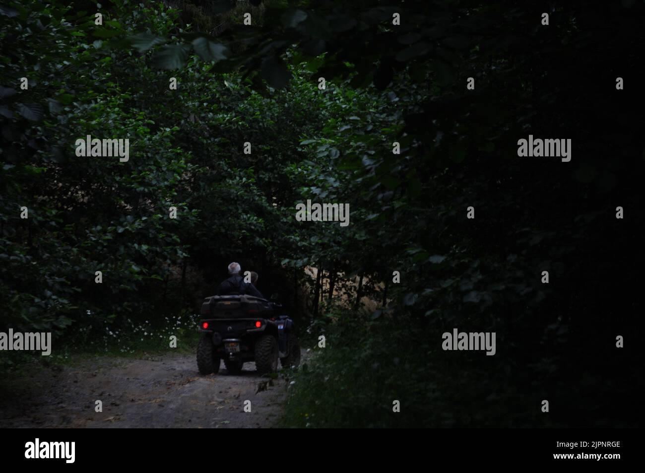 4x4 Outlander ATV auf tiefgrünem Bergwaldweg; Can-am ATV auf Waldstraße, Sommer, Artvin - Türkei Stockfoto