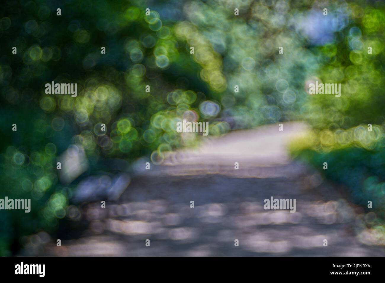 Weiche Blasenblasen im Bild von Meyer Optik Gorlitz Trioplan 100 f 2,8 Mk2 Neu Stockfoto