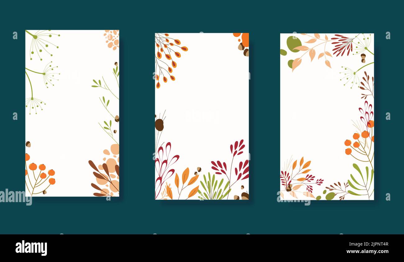 Set von Herbsthintergründen mit verschiedenen Blumen und botanischen Blättern für Banner-Design, Social-Media-Beiträge. Speicherplatz kopieren. Stockfoto