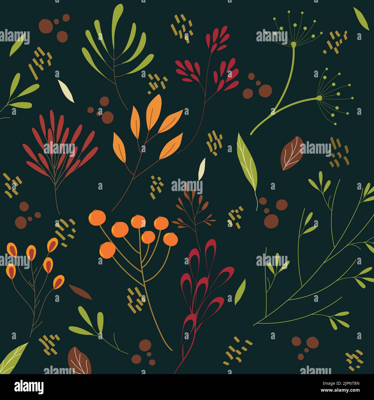 Set aus verschiedenen Herbstblättern, kleinen Blumen und botanischen auf dunklem Hintergrund, Dekoration für Karten, Verpackung, Einladungen, Poster Grüße, Co Stockfoto