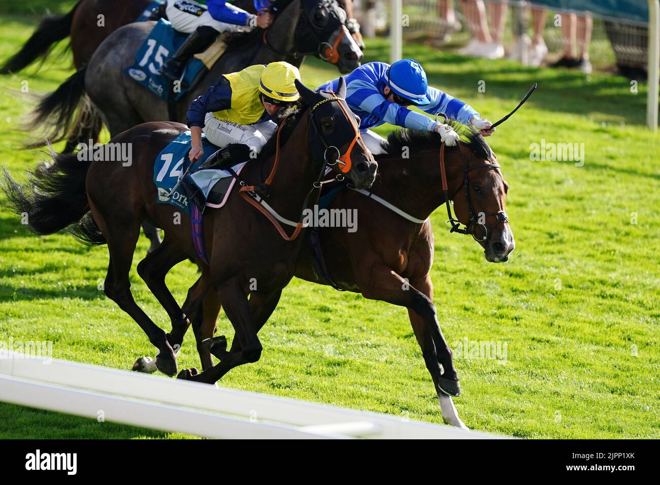 Point Lynas, geritten von Ray Dawson (vorne links), gewinnt am dritten Tag des Ebor Festivals auf der York Racecourse das Sky Bet Mile Handicap. Bilddatum: Freitag, 19. August 2022. Stockfoto