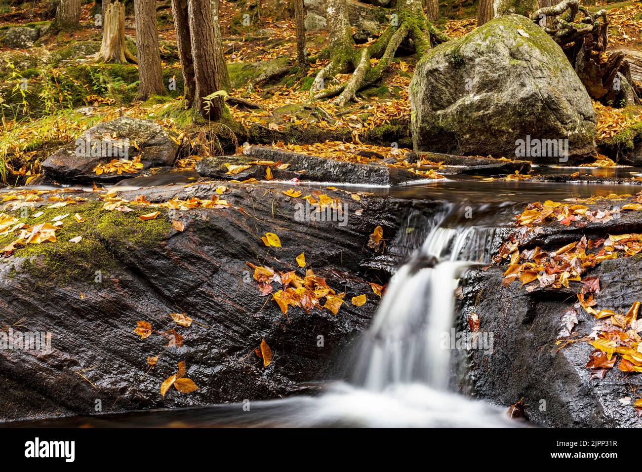 Flussabwärts von Potts Falls, im Muskokas (Cottage Country), Nord-Ontario, liegt ein malerischer Miniatur-Wasserfall. Stockfoto