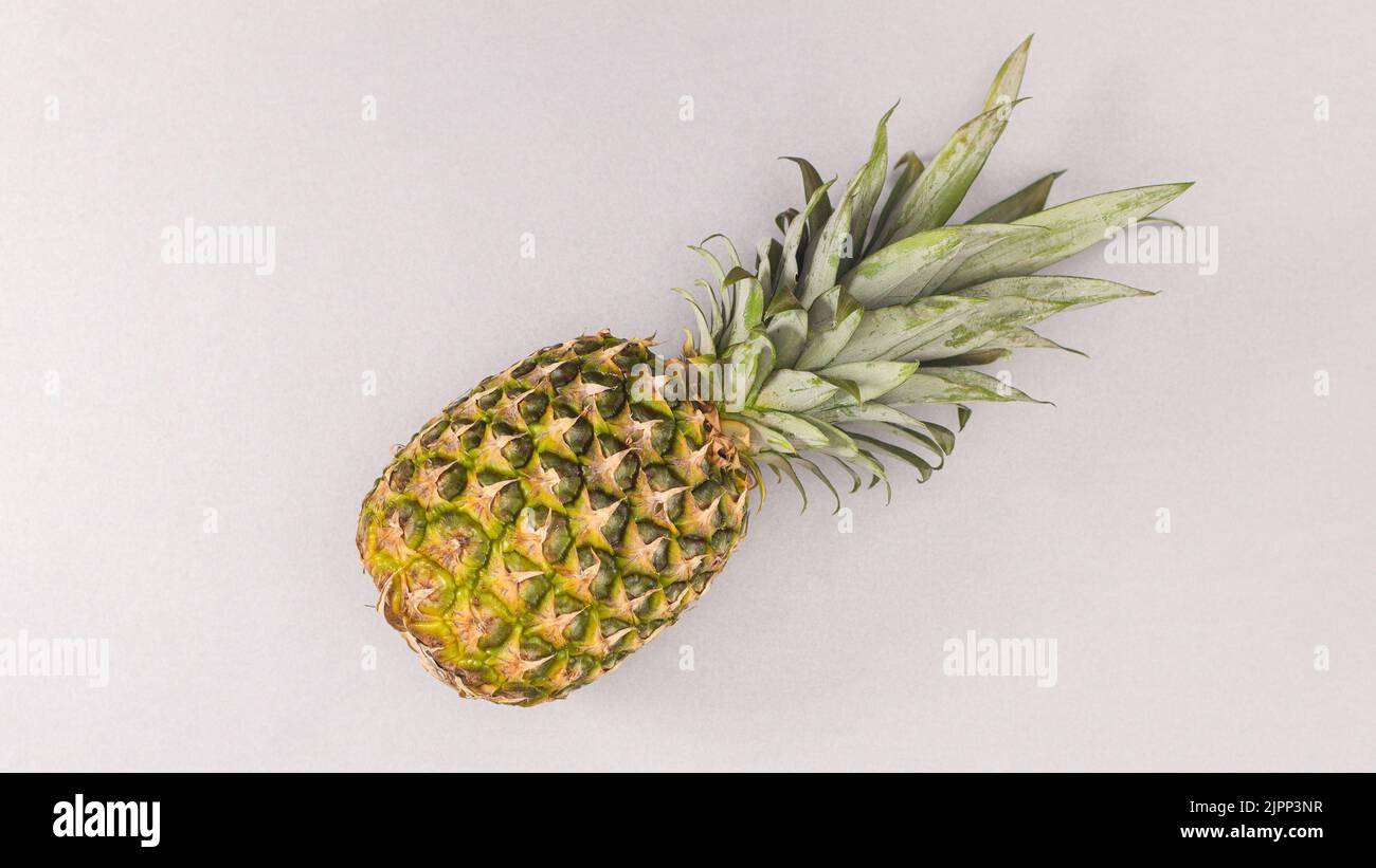 Frische reife Ananas auf grauem Backgorund. Flach liegend. Sommerliches Obst-Konzept Stockfoto