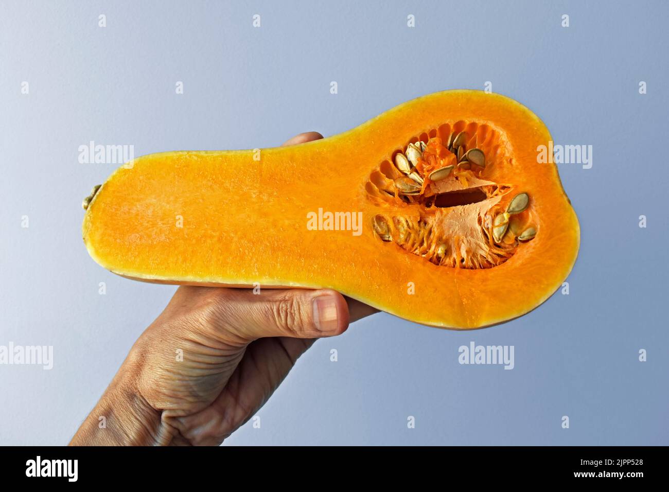 Ein halber Butternut Kürbis auf der Hand in einem hellen Hintergrund Stockfoto