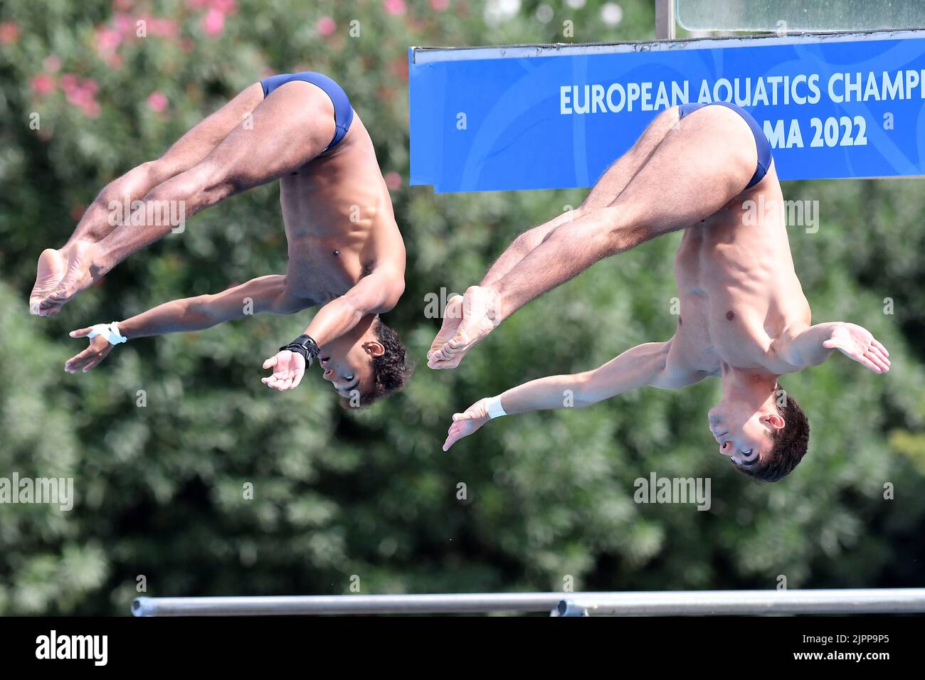 Rom, . 19. August 2022. Andreas Sargent Larsen, Eduard Gugiu Timbretti während der Schwimmeuropameisterschaften in Rom 2022. Rom 19.. August 2022 Photographer01 Kredit: Unabhängige Fotoagentur/Alamy Live Nachrichten Stockfoto