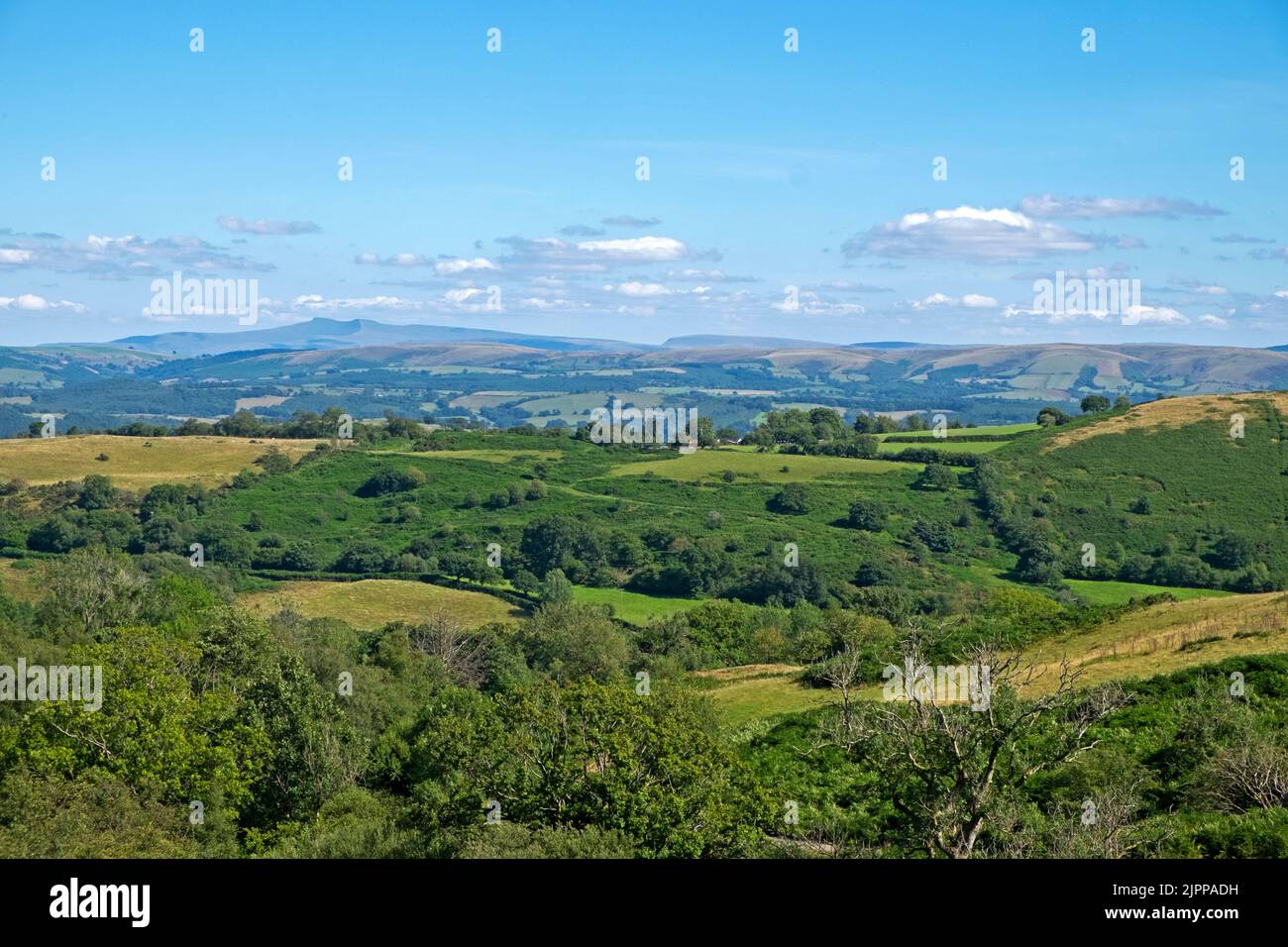 Landschaftsansicht in der sommerlichen Hitzewelle von Porth y Rhyd Llanwrda mit Blick nach Osten zum Black Mountain im Brecon Beacons National Park August 2022 KATHY DEWITT Stockfoto