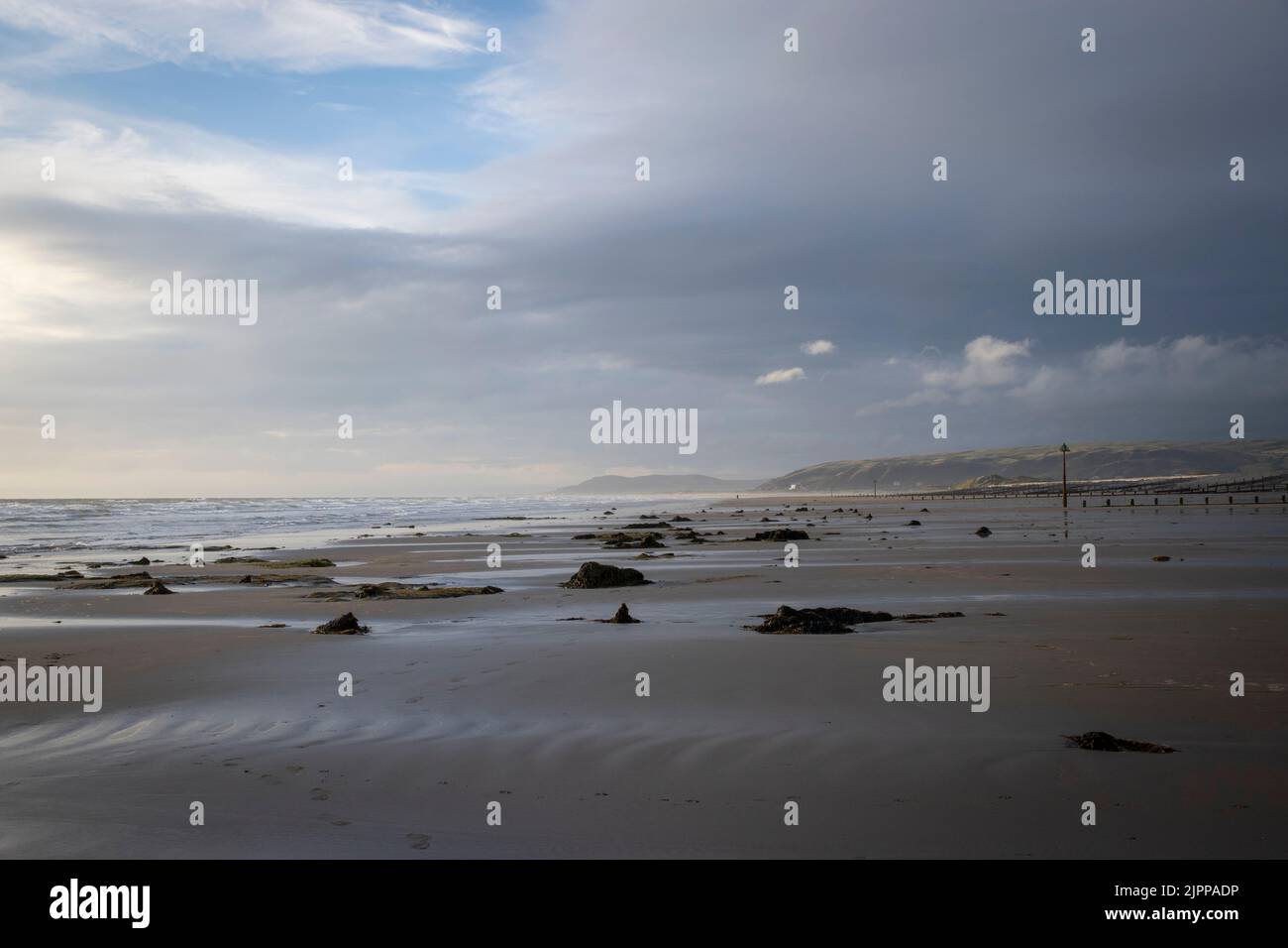 Der versteinerte Wald in borth Stockfoto