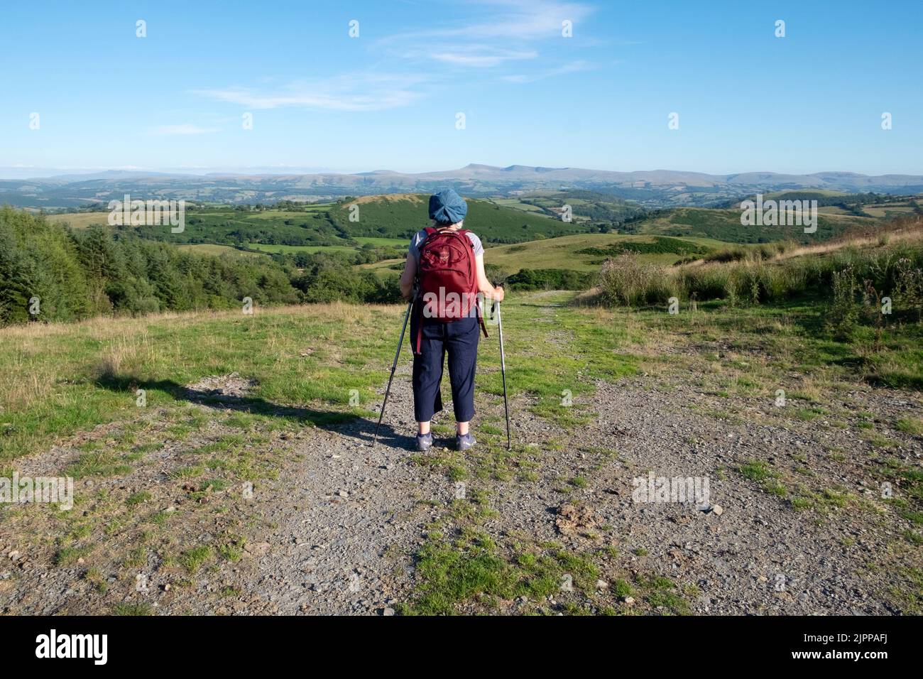Rückansicht ältere Frau Wanderfrau beim Spazierengehen mit Blick auf die Landschaft im Sommer, Carmarthenshire Wales UK 2022 KATHY DEWITT Stockfoto