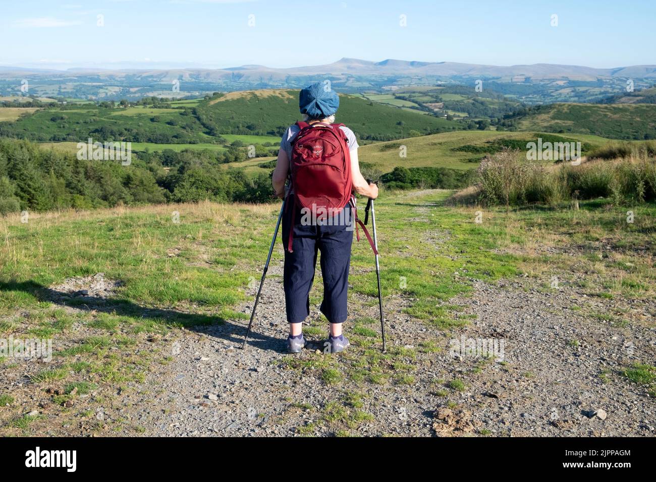 Rückansicht ältere Frau Wanderfrau beim Spazierengehen mit Blick auf die Landschaft im Sommer, Carmarthenshire Wales UK 2022 KATHY DEWITT Stockfoto