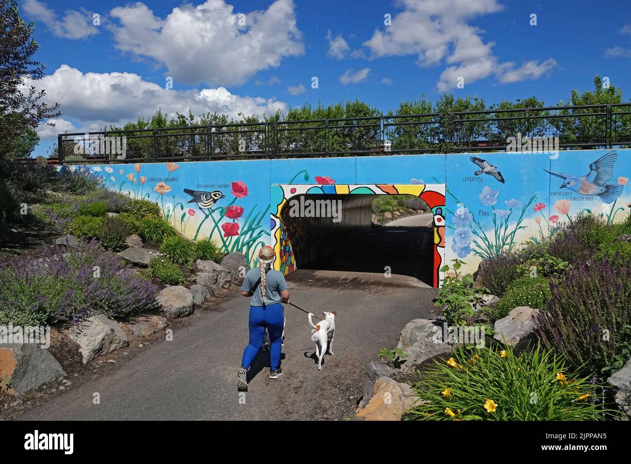 Eine Frau geht mit ihrem Hund auf einem Wanderweg entlang des Deschutes River in Bend, dem Old Mill District von Oregon. Stockfoto Eine Frau geht mit ihrem Hund auf einem Wanderweg entlang des Deschutes River in Bend, dem Old Mill District von Oregon. Stockfoto