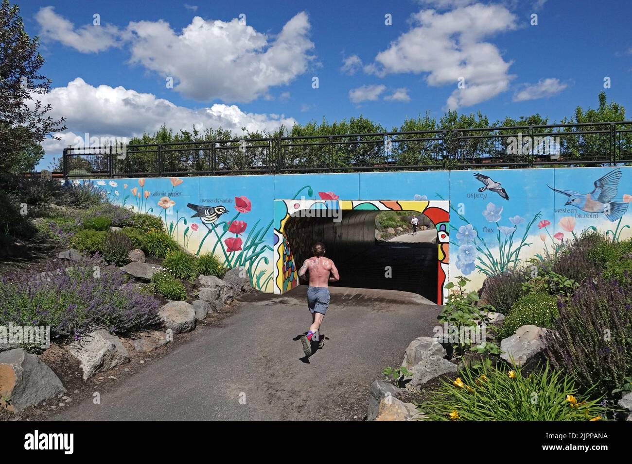 Ein Mann joggt auf einem Wanderweg entlang des Deschutes River in Bend, dem Old Mill District von Oregon. Stockfoto Ein Mann joggt auf einem Wanderweg entlang des Deschutes River in Bend, dem Old Mill District von Oregon. Stockfoto