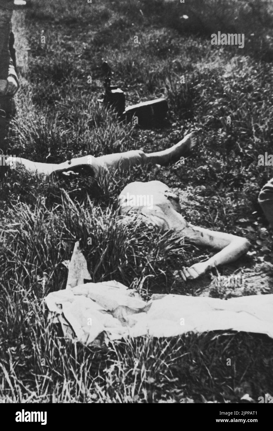 ELIZABETH KURZ alias The Black Dahlia ( 1924 - 1947 ). Die elizabeth-Leiche vom 15.. januar 1947 wurde in zwei Stücken auf einem freien Grundstück in Hollywood gefunden. Der Mord ist immer noch ungelöst - KINO - GEHEIMNIS - MISTERO - delitto insoluto - omicidio - CRONACA NERA - Kult macabro ---- Archivio GBB Stockfoto