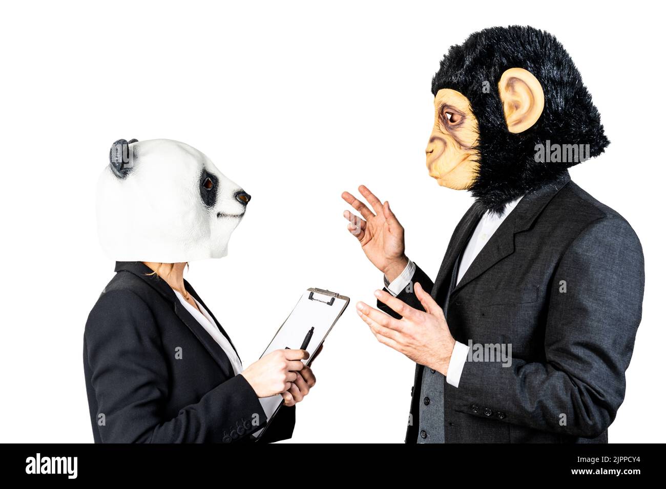 Unternehmer oder Kollegen, die Geschäfte tätigen. Stift und Dokumente auf ihren Händen, Deal-Konzept. Bären- und Affenmasken. Isolierter weißer Hintergrund Stockfoto Unternehmer oder Kollegen, die Geschäfte tätigen. Stift und Dokumente auf ihren Händen, Deal-Konzept. Bären- und Affenmasken. Isolierter weißer Hintergrund Stockfoto