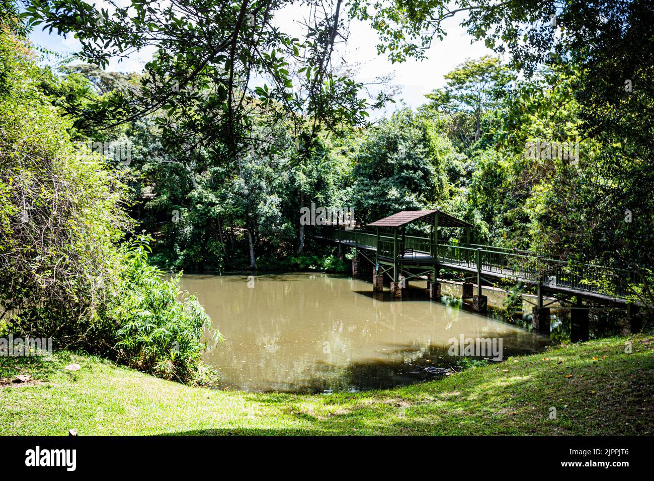 Sarova Mara Game Camp Safari Lodge In Kenia Maasai Mara National Game Reserve Park Narok County Kenia Ostafrikanische Landschaften Great Rift Valley Wild Bu Stockfoto