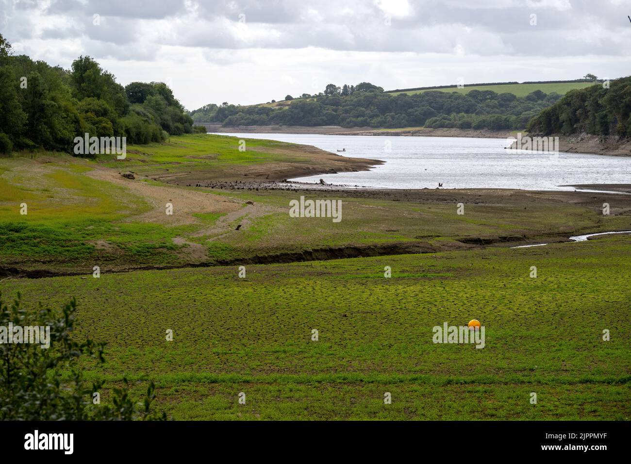 In Teilen von Mittel- und Südwales wird die Dürre erklärt, als das Verbot der Pembrokeshire-Rohrleitung in Kraft tritt.im Bild ist der Stausee Llys y Fran zu sehen. Stockfoto